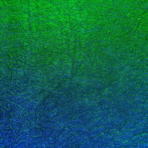 Brocade Limelight Crushed - Blue and Green - Image 2